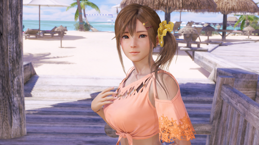 死或生：维纳斯璀璨假期 豪华版 全DLC-白夜ACG