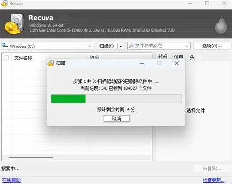 图片[3]-【PC/工具】免费恢复被删除文件！！！数据恢复工具 Recuva V1.53.0.2083-白夜ACG
