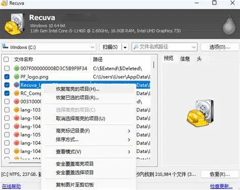 图片[2]-【PC/工具】免费恢复被删除文件！！！数据恢复工具 Recuva V1.53.0.2083-白夜ACG