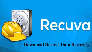 【PC/工具】免费恢复被删除文件！！！数据恢复工具 Recuva V1.53.0.2083-白夜ACG