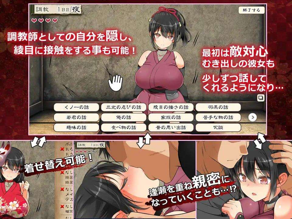 图片[2]-【SLG/动态】忍堕－女忍调教 忍堕とし steam官中步兵+存档/378-白夜ACG