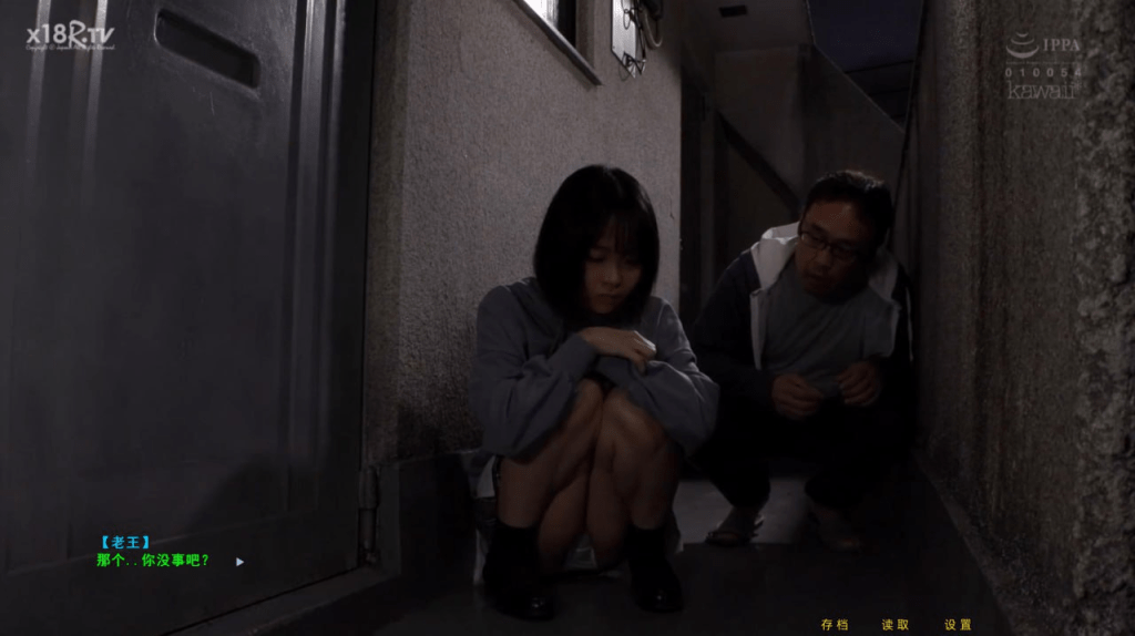 【PC+安卓KR模拟器】【国产/真人SLG/NTL】不是小十七 隔壁老王 /528-白夜ACG
