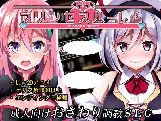 [PC+安卓盖世]【调教SLG/动态】公主后宫プリンセスハーレム V1.18 精翻汉化去码/648-白夜ACG