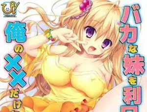 [PC+安卓kr]【ADV/骨科】唯一能让笨蛋妹妹变聪明的方法バカな妹を利口にするのは俺の××だけな件について（AI汉化）/700-白夜ACG