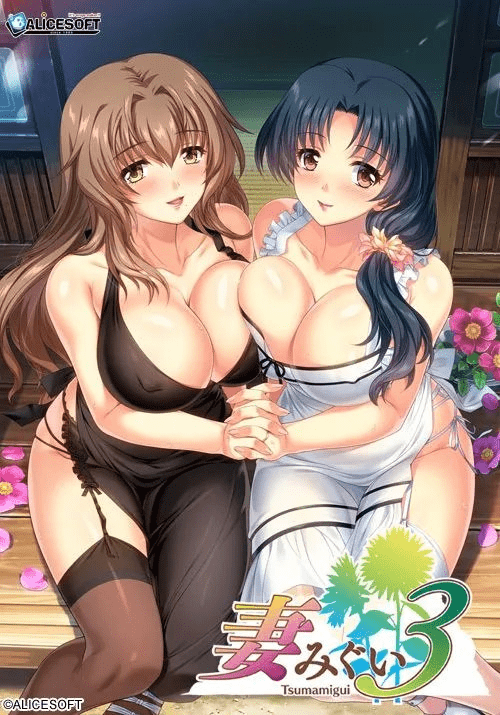 [ADV/汉化神级大作/人妻] [Alicesoft] 妻中蜜３ 妻みぐい３ v0.801 润色汉化版+攻略+全CG存档 [2.30G]/492-白夜ACG
