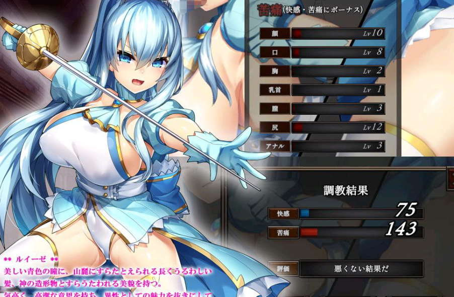 图片[1]-[PC+安卓盖世]【调教SLG】壁尻骑士露易丝~坠落成肉便器的巨乳女骑士~壁尻騎士ルイーゼ～肉便器に堕ちた巨乳女騎士～（V1.0 精翻汉化+去码）/760-白夜ACG