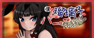 [PC+安卓]我的瑠璃子的兔女郎体验记 僕の瑠璃子のバニー体験記 AI内嵌汉化版/834-白夜ACG