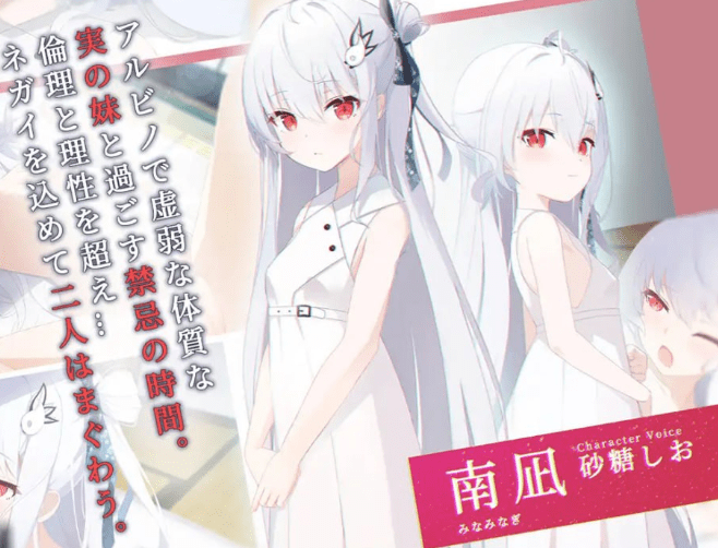 图片[4]-【PC+安卓直装】[ADV/纯爱] カタネガイ/片方的祈愿/只愿/810-白夜ACG