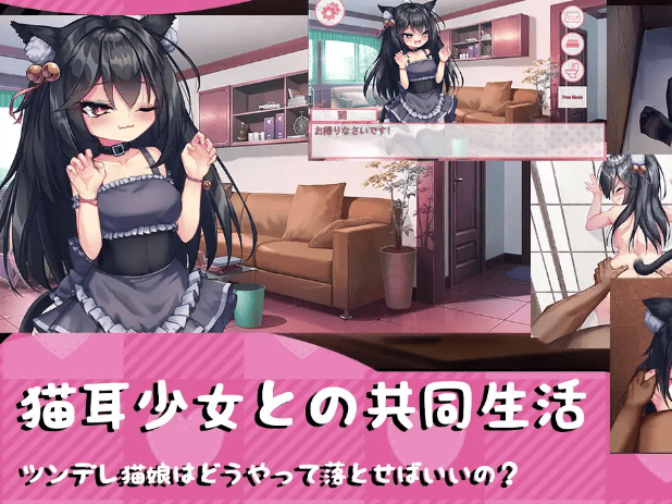 图片[3]-[PC+安卓盖世][SLG/同居/女仆/动态]我的妹妹是黑猫 私の妹は黒猫 官中/1228-白夜ACG