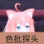 假装的头像-白夜ACG