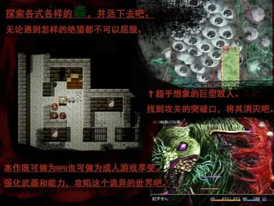 [PC+安卓][RPG/黑暗童话]BLACKSOULS 小红帽之森 紅ずきんの森 v1.4 官中/3442-白夜ACG