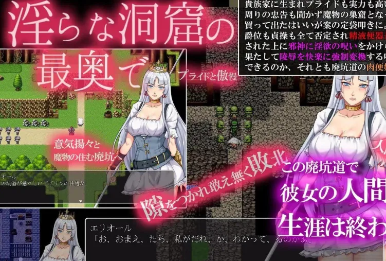 [PC+安卓][RPG/恶堕]堕落骑士艾利奥尔~废坑道肉欲的魔岩窟 堕落騎士エリオール～廃坑道は肉快楽の魔岩窟 AI汉化/3429-白夜ACG